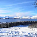 Alfheim Living - Comfortable Arctic
