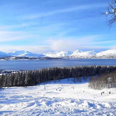 Alfheim Living - Comfortable Arctic