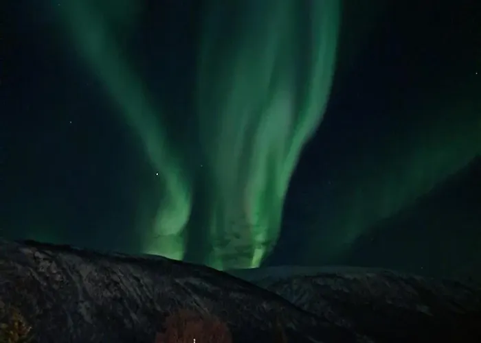 Alfheim Living - Comfortable Arctic Tromsø