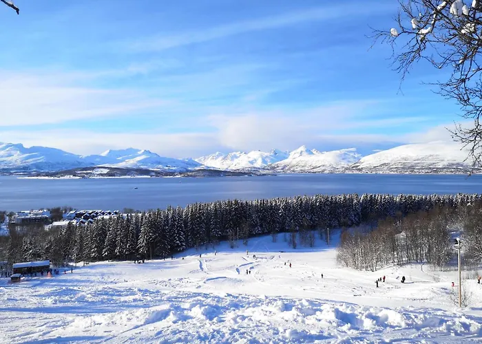 Alfheim Living - Comfortable Arctic