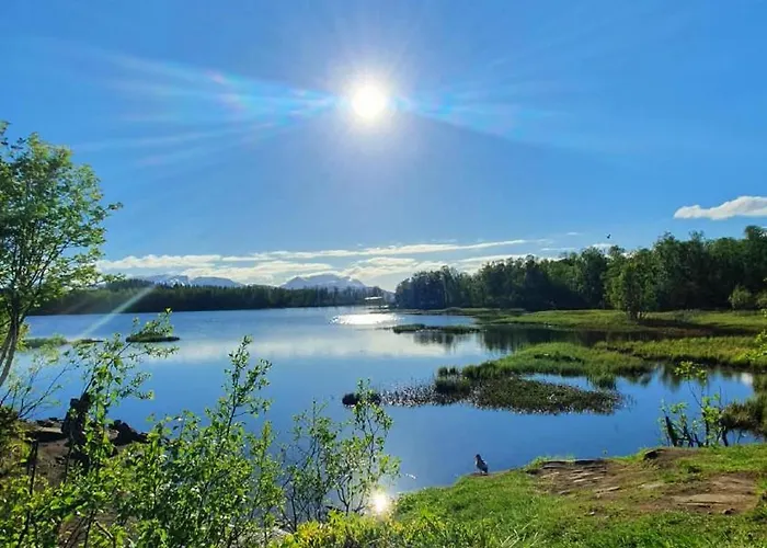 Alfheim Living - Comfortable Arctic