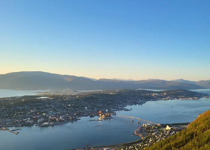 Alfheim Living - Comfortable Arctic